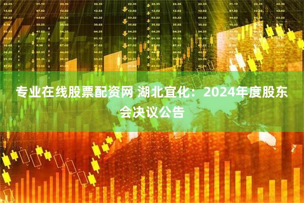 专业在线股票配资网 湖北宜化：2024年度股东会决议公告